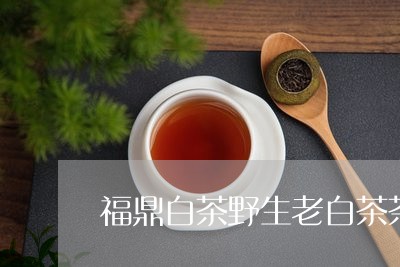 福鼎白茶野生老白茶茶饼/2023032713026