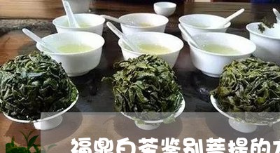 福鼎白茶鉴别菩提的方法/2023032727249