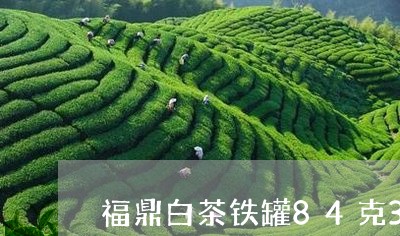 福鼎白茶铁罐84克369/2023033100814