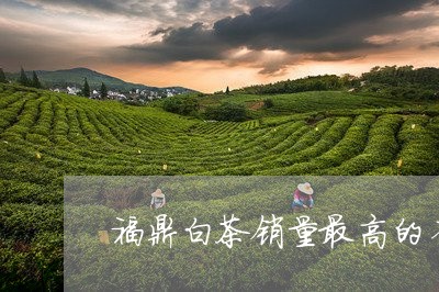 福鼎白茶销量最高的省份/2023032703936