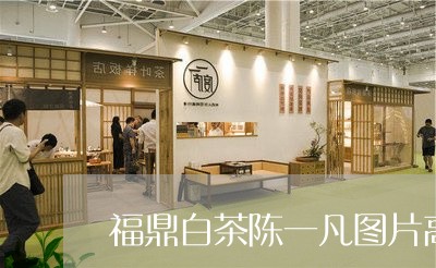 福鼎白茶陈一凡图片高清/2023032754615