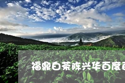 福鼎白茶陈兴华百度百科/2023032743169