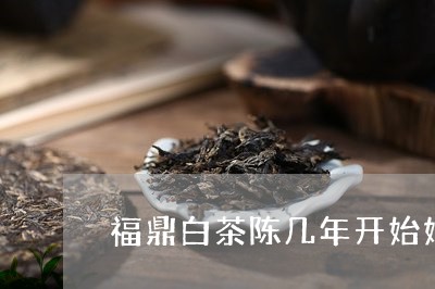 福鼎白茶陈几年开始好喝/2023032771707