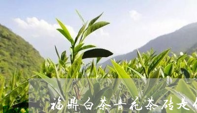 福鼎白茶青花茶砖是什么/2023032773047