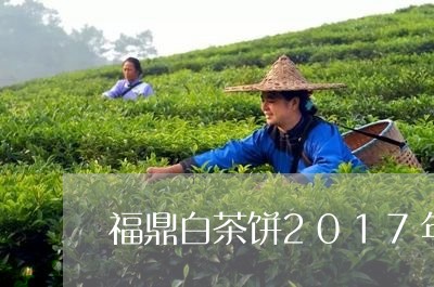 福鼎白茶饼2017年寿眉/2023033091735