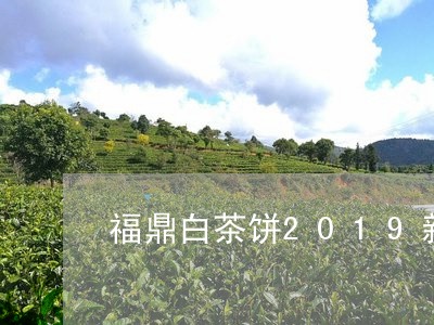 福鼎白茶饼2019新茶饼/2023033019493