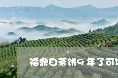 福鼎白茶饼9年了可以喝吗/2023033080673