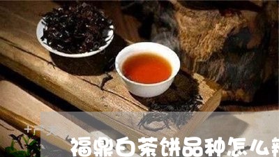 福鼎白茶饼品种怎么辨别/2023032751494