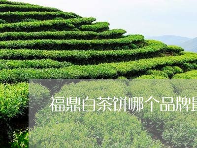 福鼎白茶饼哪个品牌最好/2023032701605