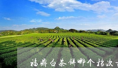 福鼎白茶饼哪个档次最好/2023032796260