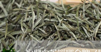 福鼎白茶饼哪个牌子最好/2023032773716