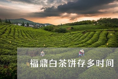 福鼎白茶饼存多时间/2023032737269