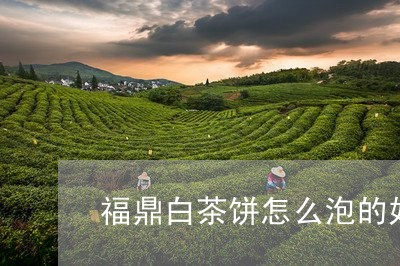 福鼎白茶饼怎么泡的好喝/2023032785039