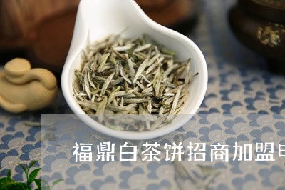 福鼎白茶饼招商加盟电话/2023032794036