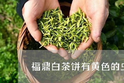 福鼎白茶饼有黄色的虫子/2023032746061