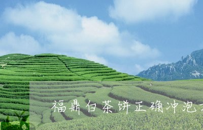 福鼎白茶饼正确冲泡方法/2023032796251