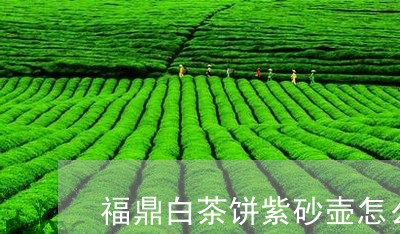 福鼎白茶饼紫砂壶怎么泡/2023032756271