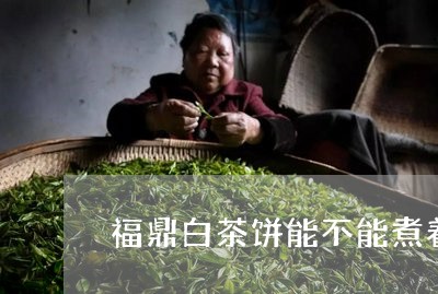 福鼎白茶饼能不能煮着喝/2023032728381