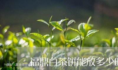 福鼎白茶饼能放多少时间/2023032771936