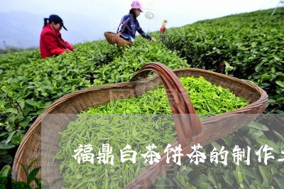 福鼎白茶饼茶的制作工艺/2023032740693