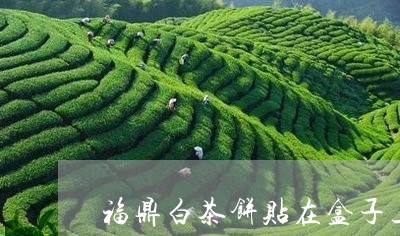 福鼎白茶饼贴在盒子上的/2023032720383