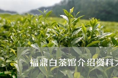 福鼎白茶馆介绍资料大全/2023032715040