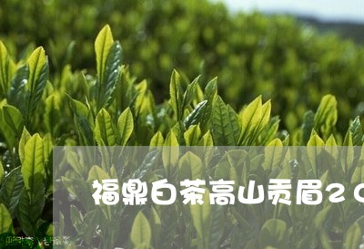 福鼎白茶高山贡眉2018/2023033074948