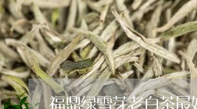 福鼎绿雪芽老白茶最好的/2023032787160