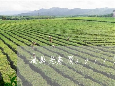 福鼎老寿眉2011年价格/2023033113838