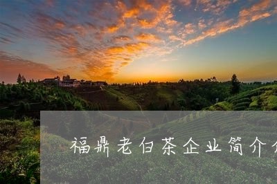 福鼎老白茶企业简介介绍/2023032778472