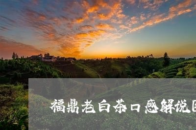 福鼎老白茶口感解说图片/2023032785928