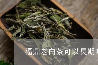 福鼎老白茶可以長期喝嗎/2023032709484