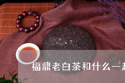 福鼎老白茶和什么一起煮/2023032715847