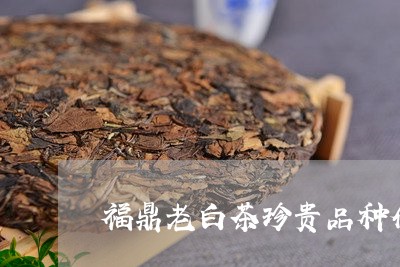 福鼎老白茶珍贵品种介绍/2023032789615