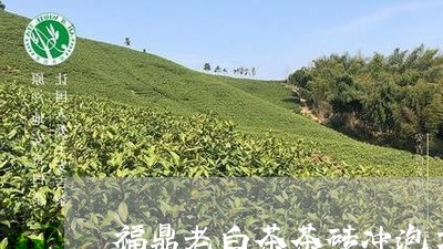 福鼎老白茶茶砖冲泡方法/2023032797482