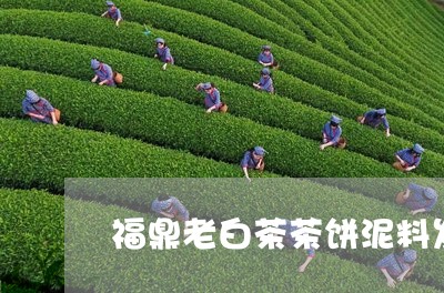 福鼎老白茶茶饼泥料发黑/2023032784827