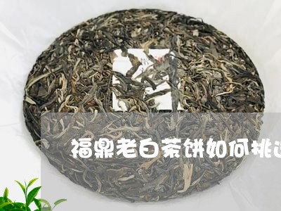 福鼎老白茶饼如何挑选的/2023032662727