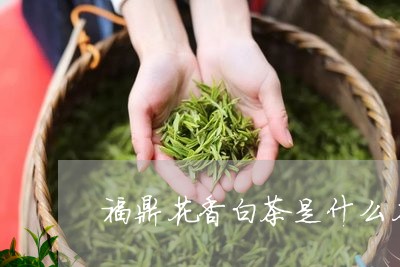 福鼎花香白茶是什么花香/2023032695836