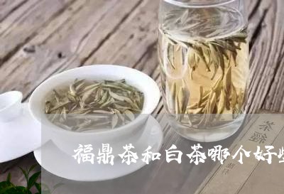 福鼎茶和白茶哪个好些些/2023032691823