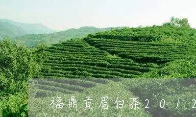 福鼎贡眉白茶2012收藏/2023033109261