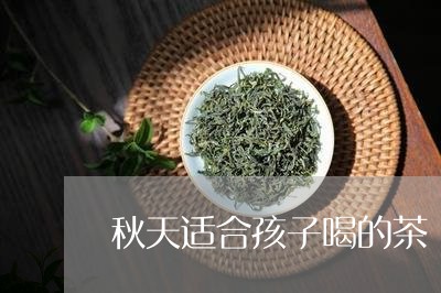 秋天适合孩子喝的茶/2023031896179