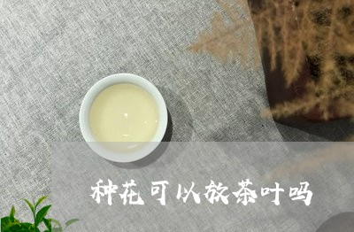 种花可以放茶叶吗/2023032686361