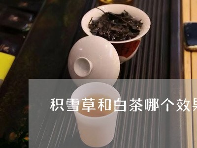 积雪草和白茶哪个效果好/2023032760381