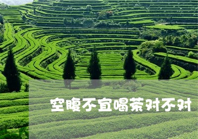 空腹不宜喝茶对不对/2023041636269