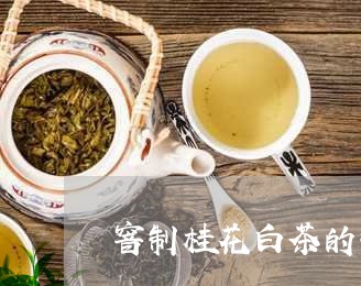 窨制桂花白茶的制作工艺/2023032721826