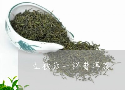 立秋后一杯普洱茶/2023041419482