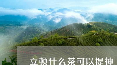 立顿什么茶可以提神/2023041581704