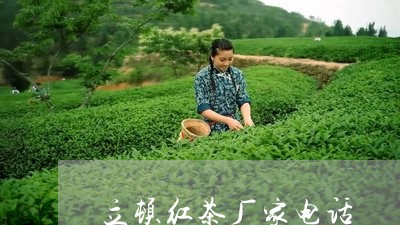 立顿红茶厂家电话/2023032450482