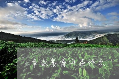 章家寨普洱茶特点/2023041417250