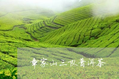 章家山三队普洱茶/2023033032914